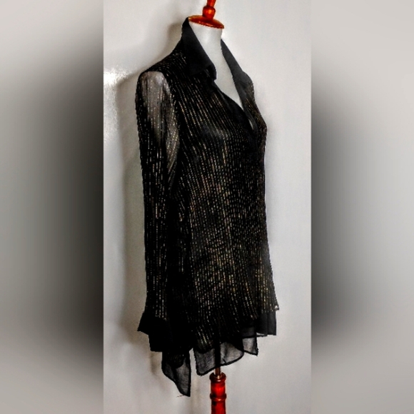 ELEGANT SHEER SILK TUNIC - Picture 1 of 11